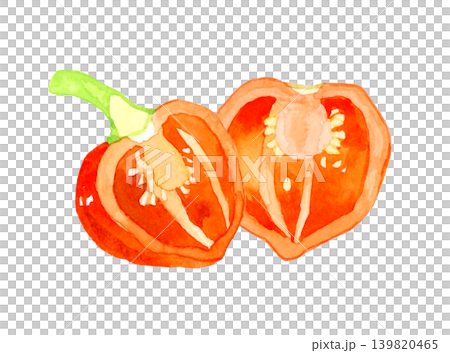 半分にカットした橙色(赤色)のハバネロ 野菜の手描き水彩イラスト素材 半分にカットした橙色(赤色)のハバネロ 野菜の手描き水彩イラスト素材 139820465