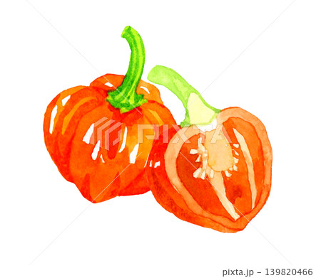 半分にカットした橙色（赤色）のハバネロ　野菜の手描き水彩イラスト素材 139820466