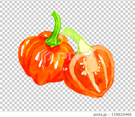 A hand-drawn watercolor illustration of a halved orange (red) habanero pepper. 139820466