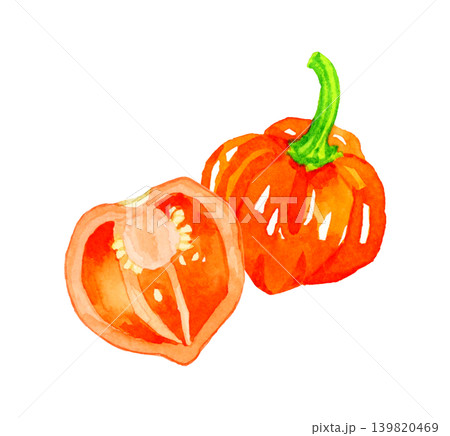 半分にカットした橙色(赤色)のハバネロ 野菜の手描き水彩イラスト素材 半分にカットした橙色(赤色)のハバネロ 野菜の手描き水彩イラスト素材 139820469