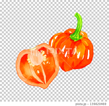 半分にカットした橙色(赤色)のハバネロ 野菜の手描き水彩イラスト素材 半分にカットした橙色(赤色)のハバネロ 野菜の手描き水彩イラスト素材 139820469