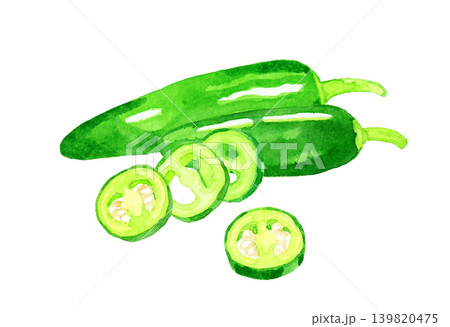 ハラペーニョのセット　野菜の手描き水彩イラスト素材 139820475