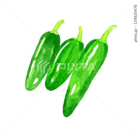ハラペーニョ3個セット　野菜の手描き水彩イラスト素材 139820476