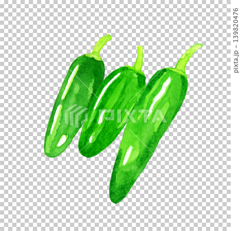 ハラペーニョ3個セット　野菜の手描き水彩イラスト素材 139820476