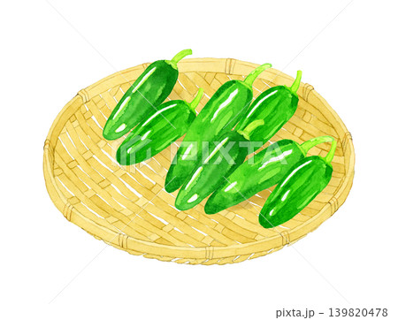 竹ざるに乗ったハラペーニョ 野菜の手描き水彩イラスト素材 竹ざるに乗ったハラペーニョ 野菜の手描き水彩イラスト素材 139820478