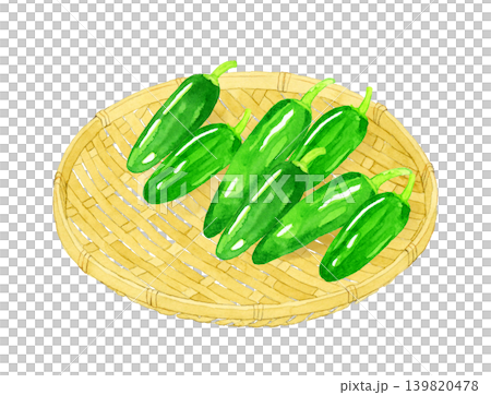 竹ざるに乗ったハラペーニョ 野菜の手描き水彩イラスト素材 竹ざるに乗ったハラペーニョ 野菜の手描き水彩イラスト素材 139820478