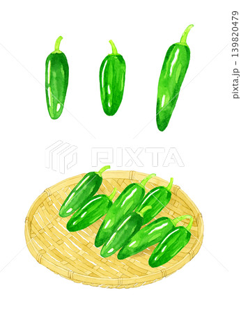 ハラペーニョのセット　野菜の手描き水彩イラスト素材 139820479