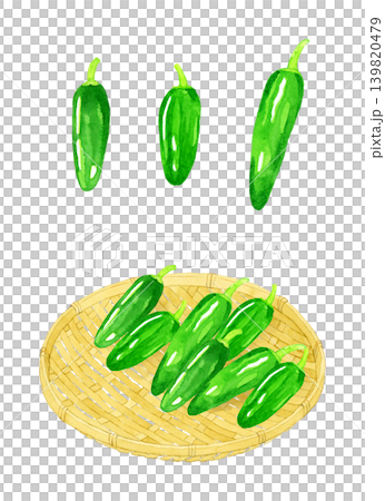 ハラペーニョのセット　野菜の手描き水彩イラスト素材 139820479