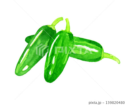 ハラペーニョのセット 野菜の手描き水彩イラスト素材 ハラペーニョのセット 野菜の手描き水彩イラスト素材 139820480