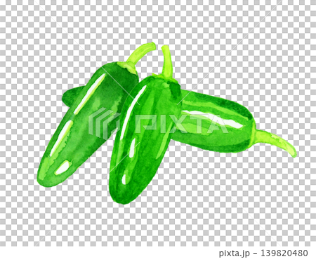 ハラペーニョのセット 野菜の手描き水彩イラスト素材 ハラペーニョのセット 野菜の手描き水彩イラスト素材 139820480