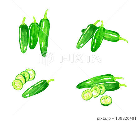 ハラペーニョのセット 野菜の手描き水彩イラスト素材 ハラペーニョのセット 野菜の手描き水彩イラスト素材 139820481
