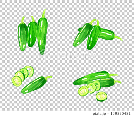 ハラペーニョのセット 野菜の手描き水彩イラスト素材 ハラペーニョのセット 野菜の手描き水彩イラスト素材 139820481
