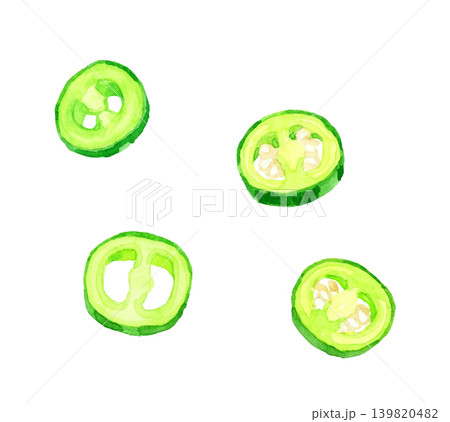 カットしたハラペーニョ 野菜の手描き水彩イラスト素材 カットしたハラペーニョ 野菜の手描き水彩イラスト素材 139820482