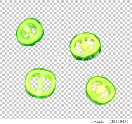 カットしたハラペーニョ 野菜の手描き水彩イラスト素材 カットしたハラペーニョ 野菜の手描き水彩イラスト素材 139820482