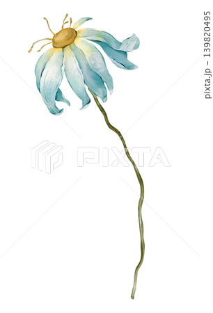 Blue watercolor daisy or chamomile flower. Botanical illustrations has blue-toned petals and a yellow center. Depicted in a delicate, minimalist style against a isolated background. Blue watercolor daisy or chamomile flower. Botanical illustrations has blue-toned petals and a yellow center. Depicted in a delicate, minimalist style against a isolated background. 139820495