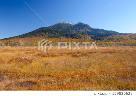 群馬県片品村 尾瀬ヶ原から望む冠雪した紅葉の燧ヶ岳と草紅葉 群馬県片品村 尾瀬ヶ原から望む冠雪した紅葉の燧ヶ岳と草紅葉 139820625