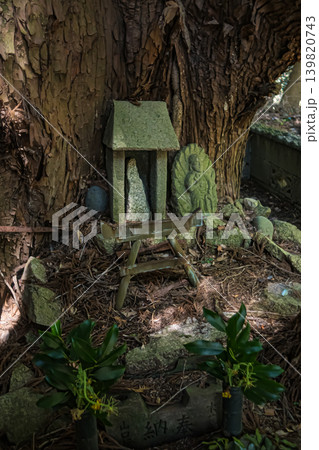 熊本・菊池・山伏宮の逆さ杉 熊本・菊池・山伏宮の逆さ杉 139820743