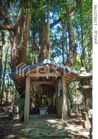 熊本・菊池・山伏宮の逆さ杉 熊本・菊池・山伏宮の逆さ杉 139820746