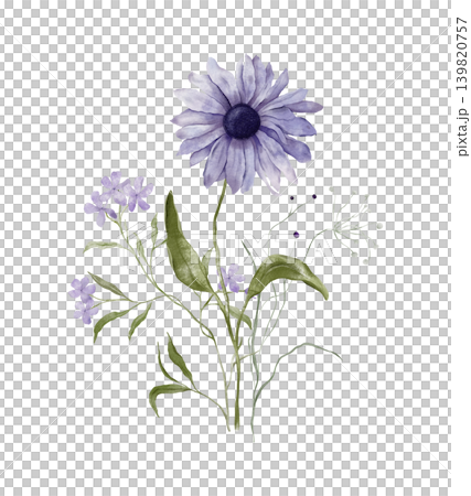Watercolor design elements of bouquet depicting a violet wildflower botanical camomile hand drawn illustrations. Composition delicate of purple phlox and wildflower herbs on isolated background. Watercolor design elements of bouquet depicting a violet wildflower botanical camomile hand drawn illustrations. Composition delicate of purple phlox and wildflower herbs on isolated background. 139820757