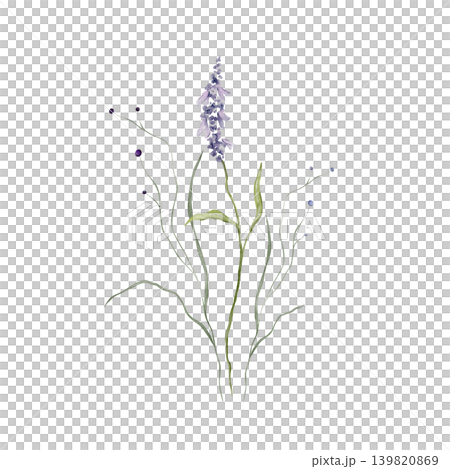 Watercolor design elements of bouquet depicting a violet wildflower botanical lavender hand drawn illustrations. Composition delicate of purple round wildflower herbs on isolated background. Watercolor design elements of bouquet depicting a violet wildflower botanical lavender hand drawn illustrations. Composition delicate of purple round wildflower herbs on isolated background. 139820869