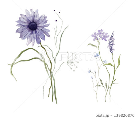 Set of watercolor design elements of bouquet depicting a violet wildflower botanical hand drawn illustrations. Composition delicate of purple daisies and wildflower herbs on isolated background. Set of watercolor design elements of bouquet depicting a violet wildflower botanical hand drawn illustrations. Composition delicate of purple daisies and wildflower herbs on isolated background. 139820870