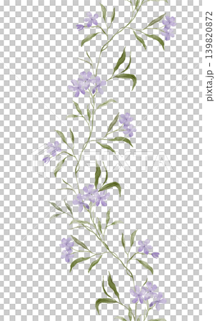 Vertical Banner watercolor illustration with violet wildflower botanical. Seamless border with hand drawn illustration purple phlox on isolated background. Vertical Banner watercolor illustration with violet wildflower botanical. Seamless border with hand drawn illustration purple phlox on isolated background. 139820872