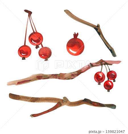 Hand drawn watercolor set of festive design elements. Features isolated winter branches, bare wooden twigs, and clusters of vibrant red winter berries, perfect for creating Christmas holiday patterns 139821047