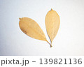 枯れ葉 139821136