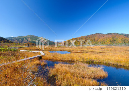 群馬県片品村 尾瀬ヶ原から望む冠雪した至仏山と草紅葉 群馬県片品村 尾瀬ヶ原から望む冠雪した至仏山と草紅葉 139821310