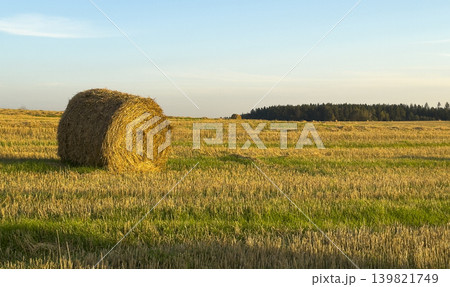 Round golden hay bale in rural field under blue sky. Agricultural farming landscape with straw grass Round golden hay bale in rural field under blue sky. Agricultural farming landscape with straw grass 139821749