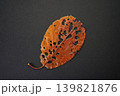 赤い枯葉 139821876