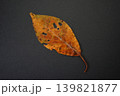 赤い枯葉 139821877