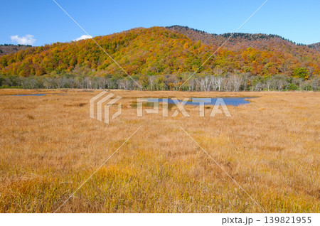 群馬県片品村 尾瀬ヶ原から望む紅葉の景鶴山と草紅葉 群馬県片品村 尾瀬ヶ原から望む紅葉の景鶴山と草紅葉 139821955