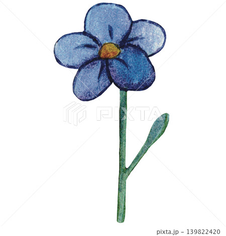 Blue Blossom Watercolor Flower Illustration 139822420