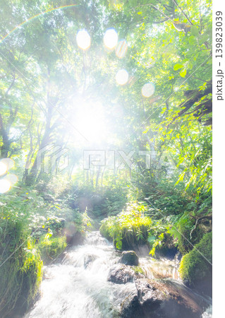森の新緑・清流・エコイメージ(奥大山) 森の新緑・清流・エコイメージ(奥大山) 139823039