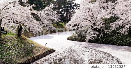 花筏の弘前城内堀ー青森県弘前城 139823274