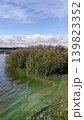 Dirty river coastline with murky green water and visible environmental pollution. Realistic landscape emphasizes ecological awareness and contamination. 139823352