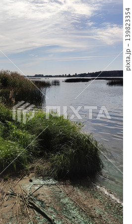 Polluted natural landscape with stagnant green river water and muddy shoreline. Atmospheric composition highlights environmental damage. Polluted natural landscape with stagnant green river water and muddy shoreline. Atmospheric composition highlights environmental damage. 139823354