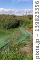 Dirty river coastline with murky green water and visible environmental pollution. Realistic landscape emphasizes ecological awareness and contamination. 139823356