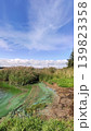 Polluted riverbank featuring stagnant green water, debris, and neglected natural surroundings. Documentary-style atmosphere highlights environmental issues. 139823358