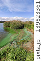 Dirty river coast with murky water and scattered waste along the bank. Focus on pollution and ecosystem degradation. 139823361