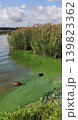 Dirty river coast with murky water and scattered waste along the bank. Focus on pollution and ecosystem degradation. 139823362