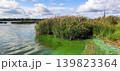 Realistic outdoor scene showing polluted green river water and neglected shoreline textures. Environmental awareness theme emphasized. 139823364