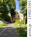 Urban landscape featuring an asphalt road passing beside a peaceful green park in soft natural daylight. 139823365