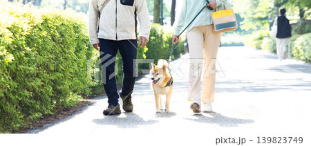 お散歩をしている柴犬 お散歩をしている柴犬 139823749