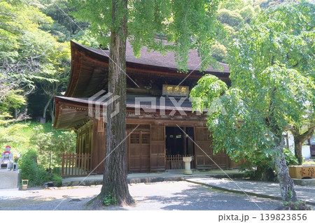 定光寺本堂無為殿 定光寺本堂無為殿 139823856