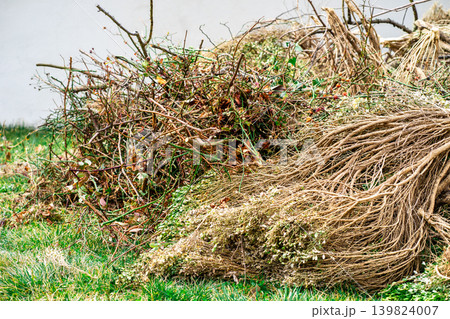 View of a stack of dry cut branches of trees and bushes on the grass in spring 139824007