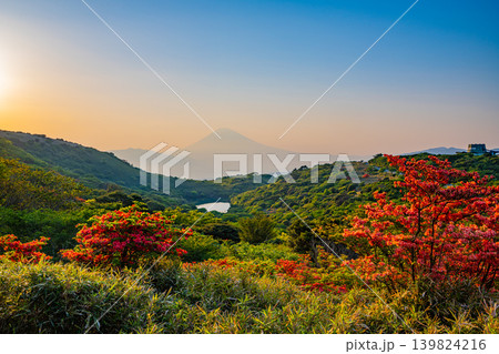 （静岡県）満開の山ツツジが美しい、箱根玄岳から望む富士山　夕景 139824216