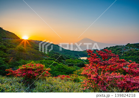 (静岡県)満開の山ツツジが美しい、箱根玄岳から望む富士山 夕景 (静岡県)満開の山ツツジが美しい、箱根玄岳から望む富士山 夕景 139824218