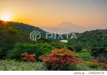(静岡県)満開の山ツツジが美しい、箱根玄岳から望む富士山 夕景 (静岡県)満開の山ツツジが美しい、箱根玄岳から望む富士山 夕景 139824219